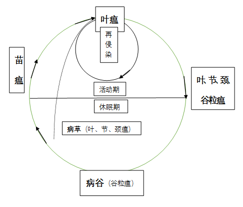 臺州農資